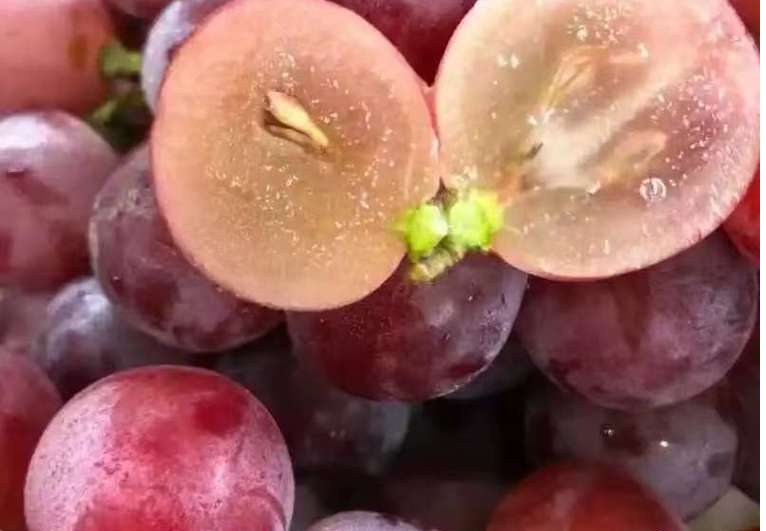 成都水果批发全城配送｜专注酒店、自助餐、食堂、单位鲜果供应