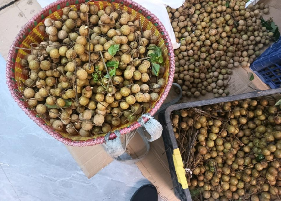 成都农作物专业养护｜土壤水质检测&ensp;病虫害绿色防治技术服务