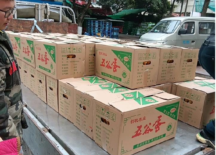 成都昆童禽蛋批发｜每日鲜蛋入库 餐饮食堂稳定供货